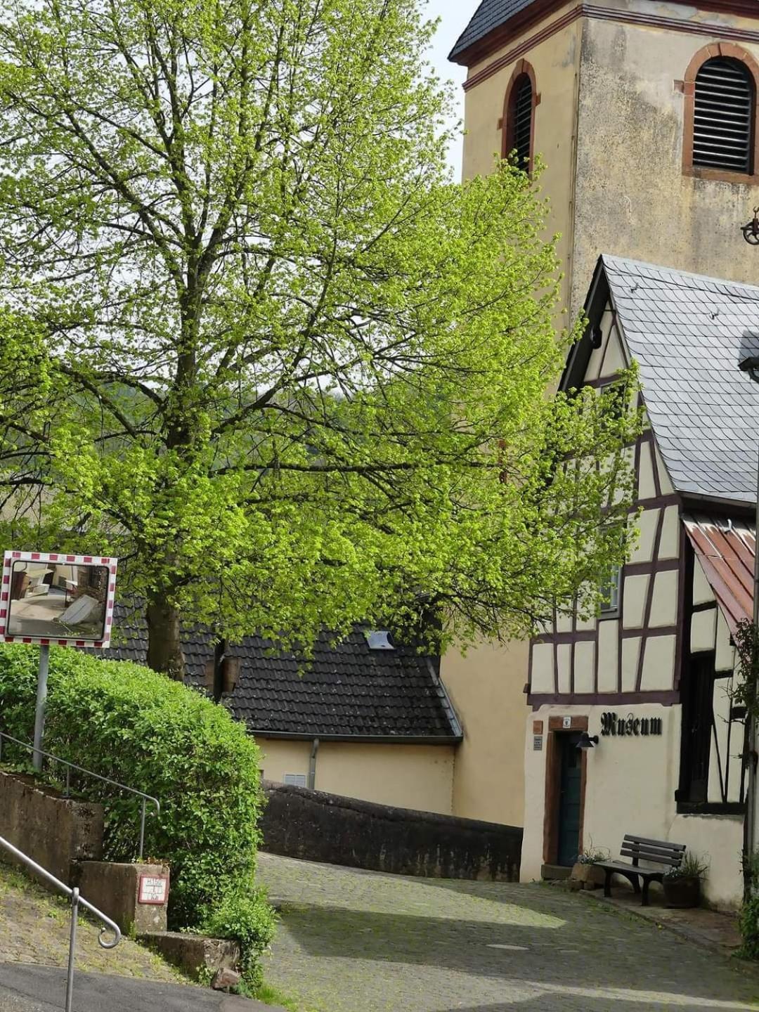 Ferienwohnung Katharina II Alf Zewnętrze zdjęcie